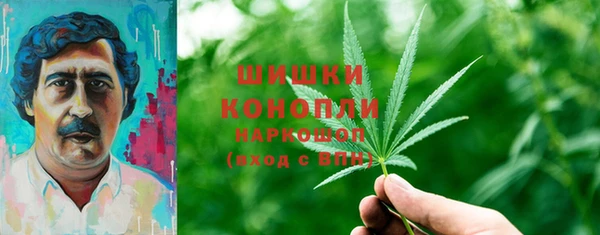 гашиш Богданович