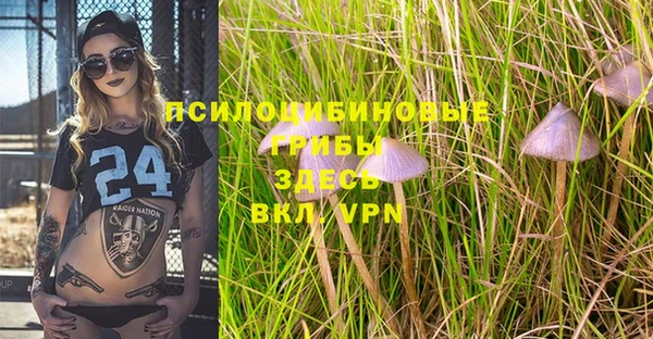 ALPHA PVP Белоозёрский