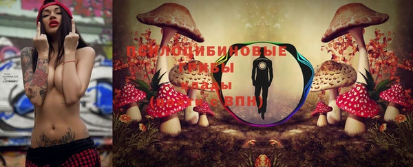 2c-b Богородицк